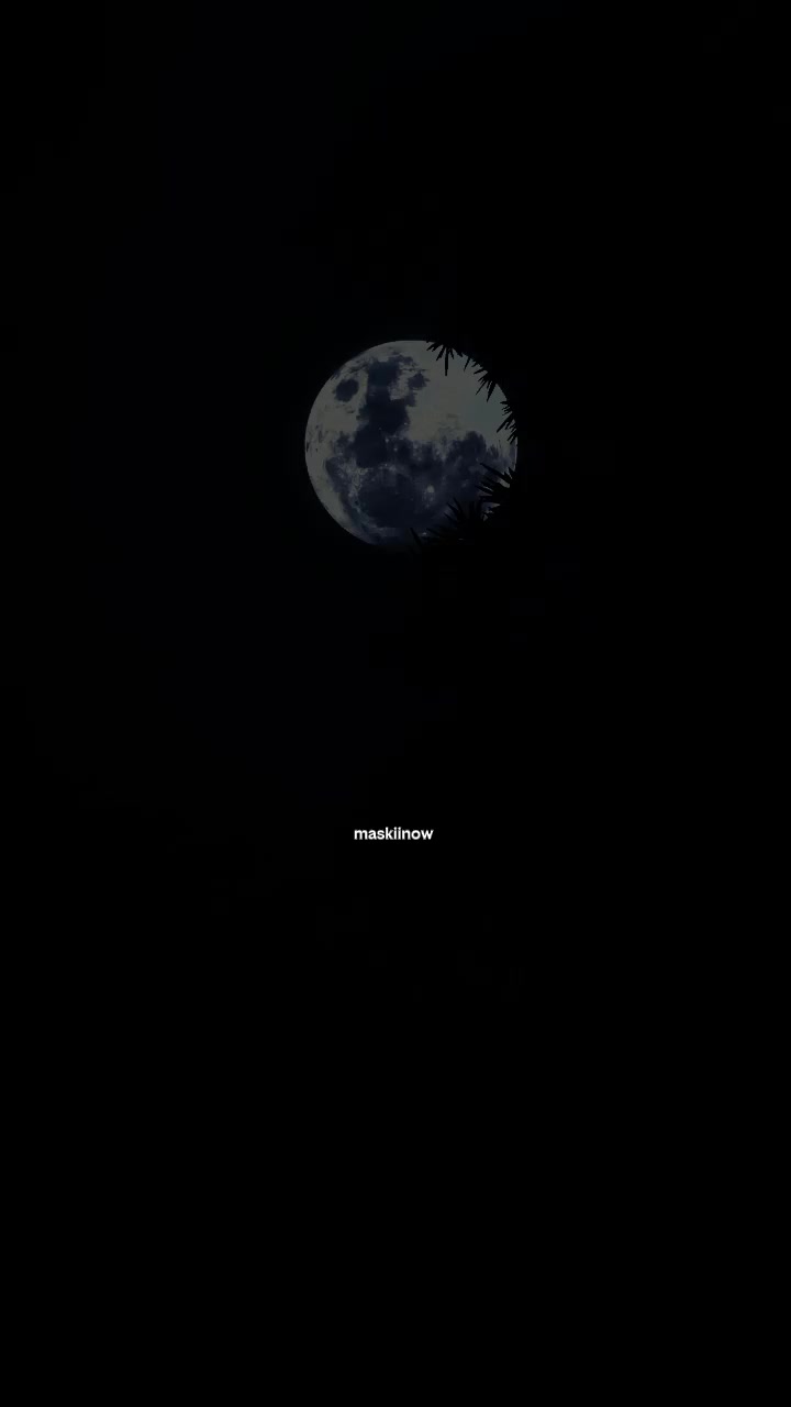 @ᗰ❤️ᗰ🪿ᗰ🤴