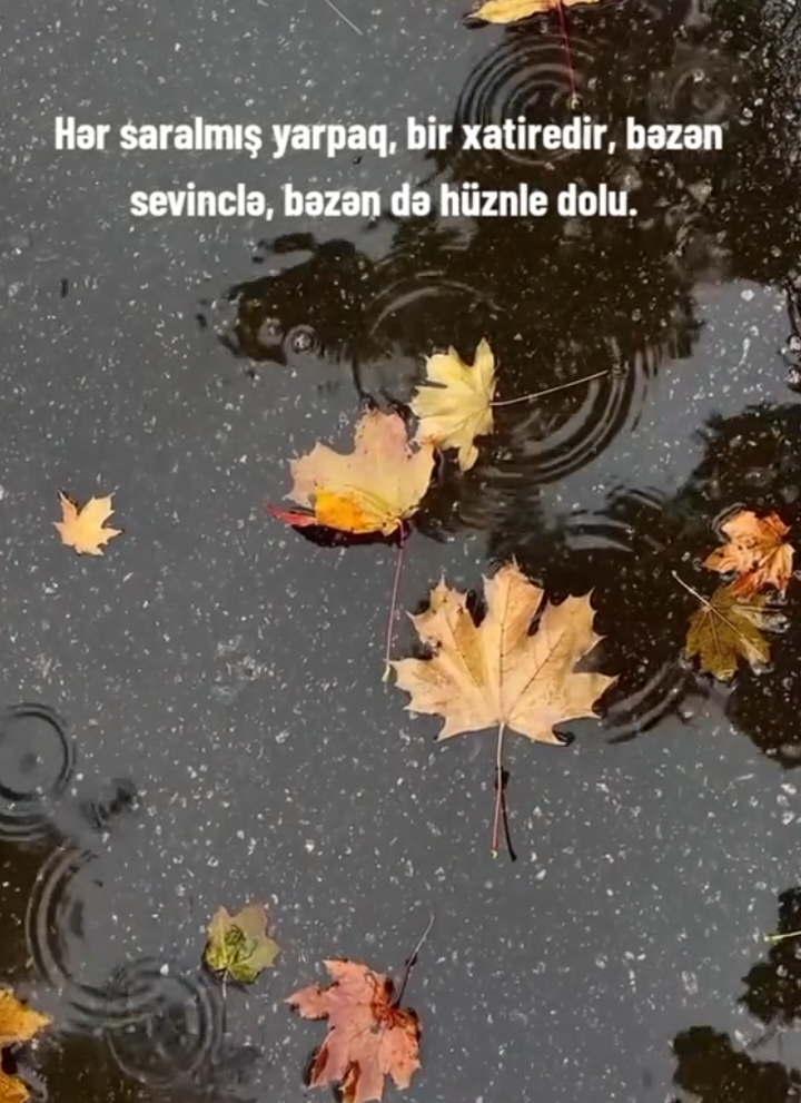 @İ𝐫𝐤𝐚🦁