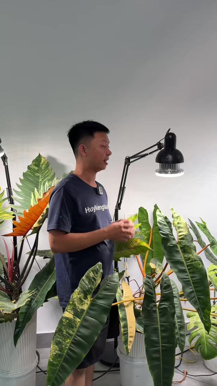 @Huy Kiểng L&aacute;