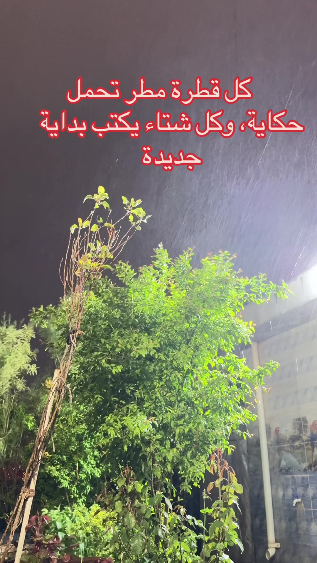 @عسـ͢ـَـكـري🇮🇶⃤ᥫَ᭡ ✌︎🪖