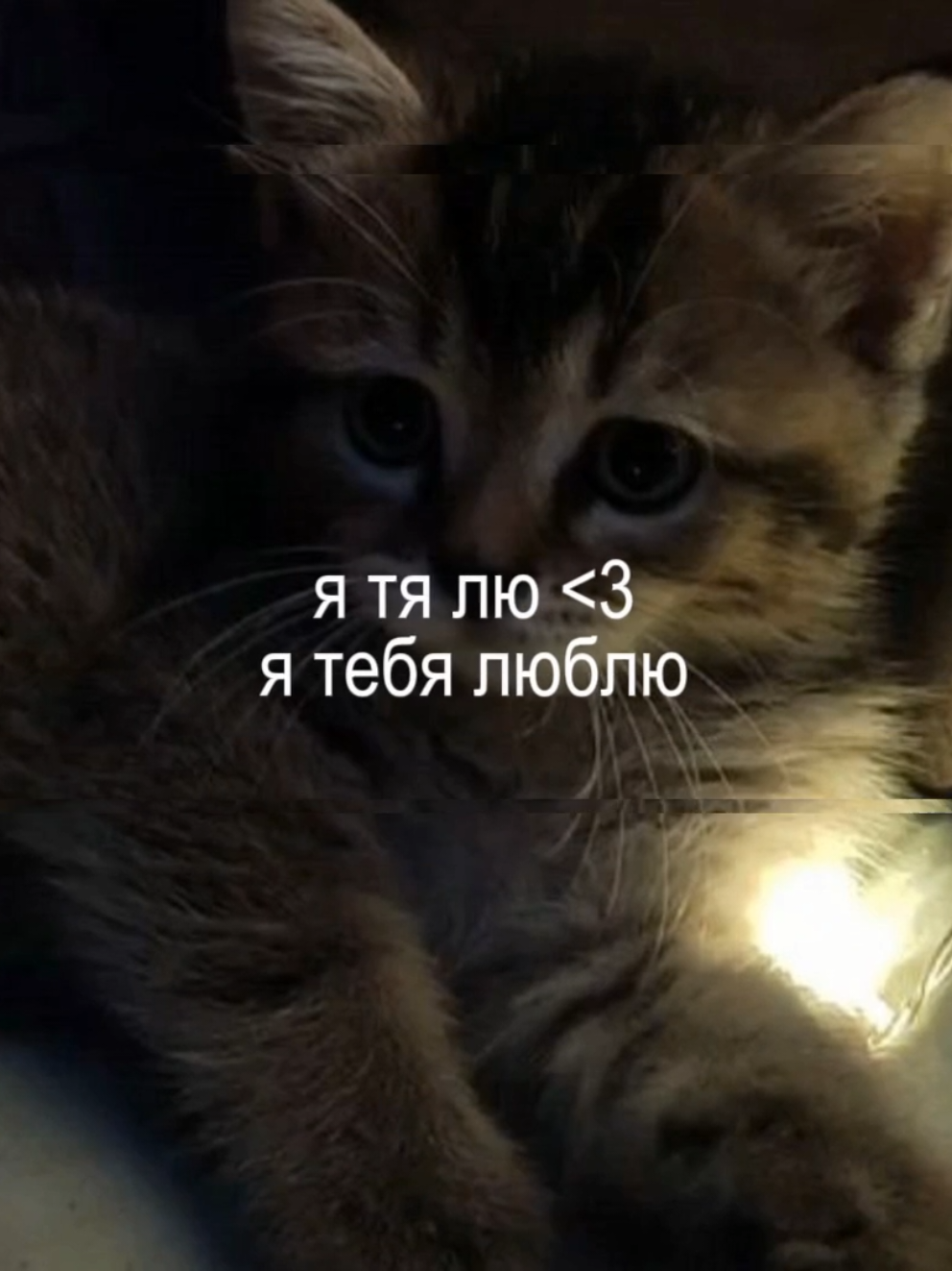 @алинверк