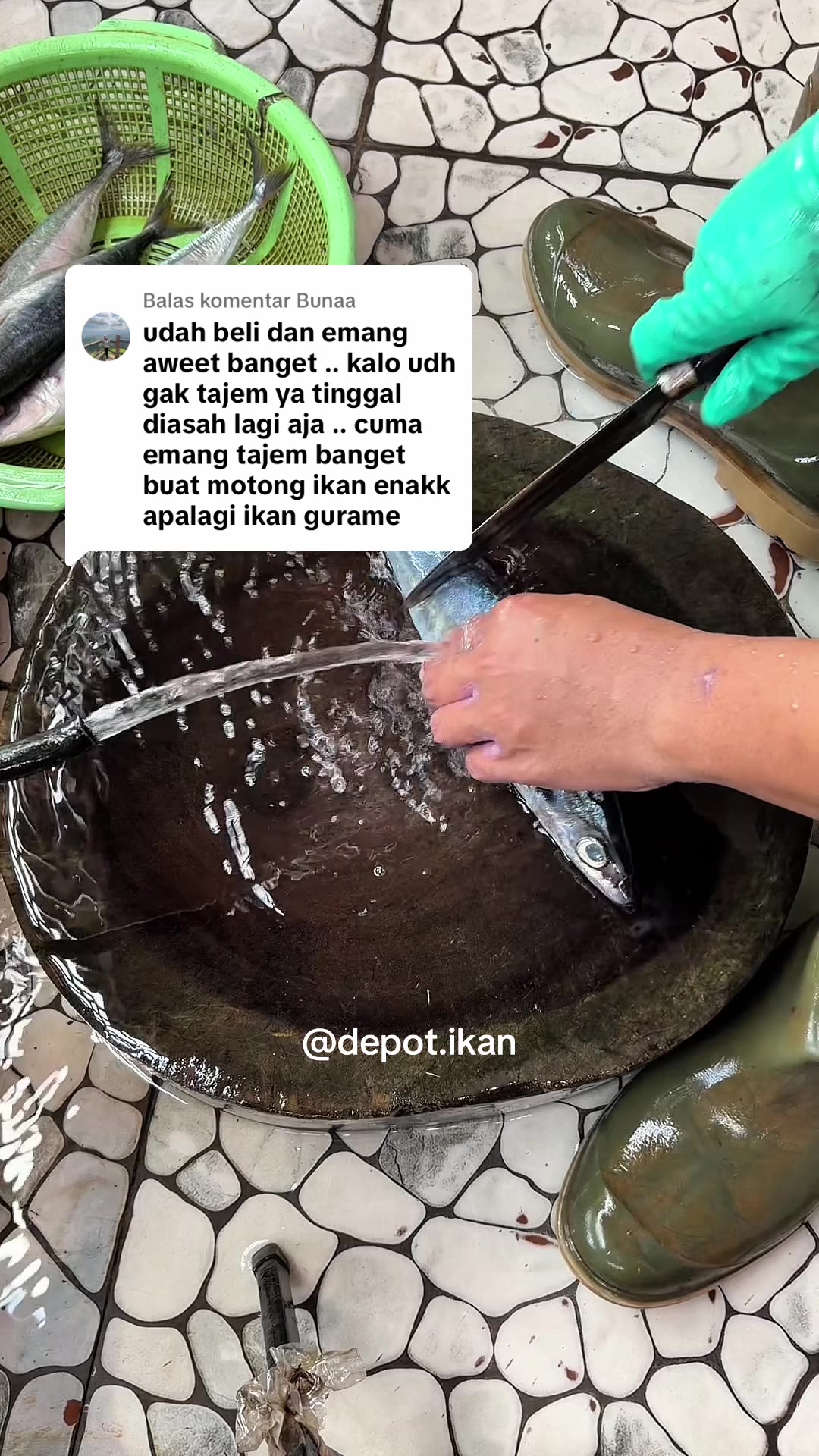 @Depot Ikan
