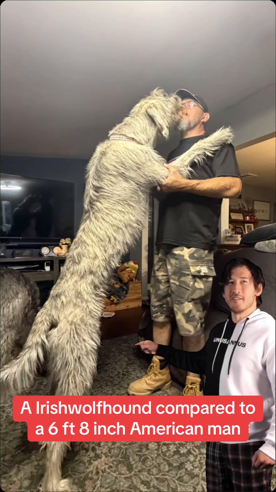 @Big Joe E 6’8” 229