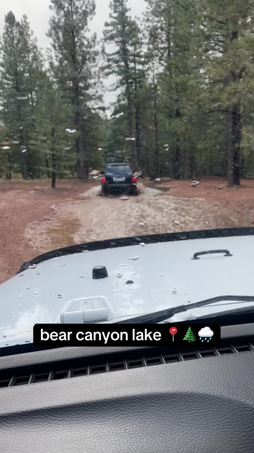 @David explore Arizona 🌲🎣