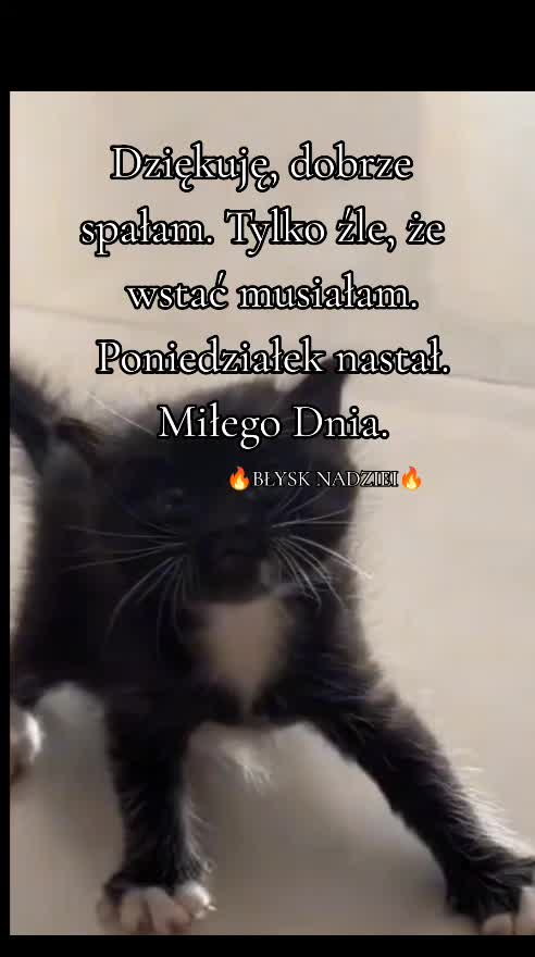@🔥BŁYSK NADZIEI🔥