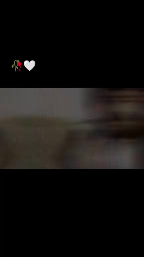 @syed بادشاہ 👑💯