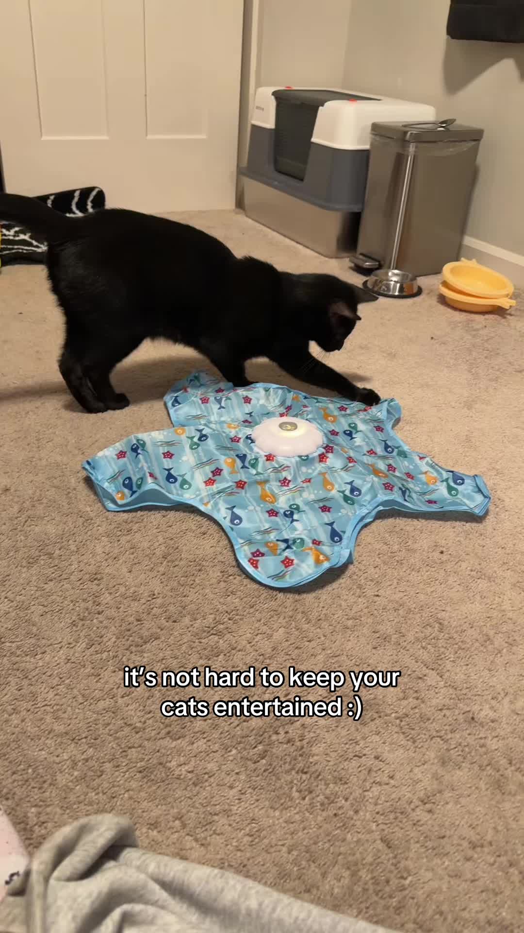@⋆♱ 𝒂𝒓𝒊𝒂𝒉 ♱⋆