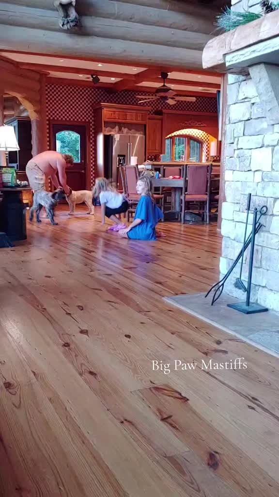 @Big Paw Mastiffs