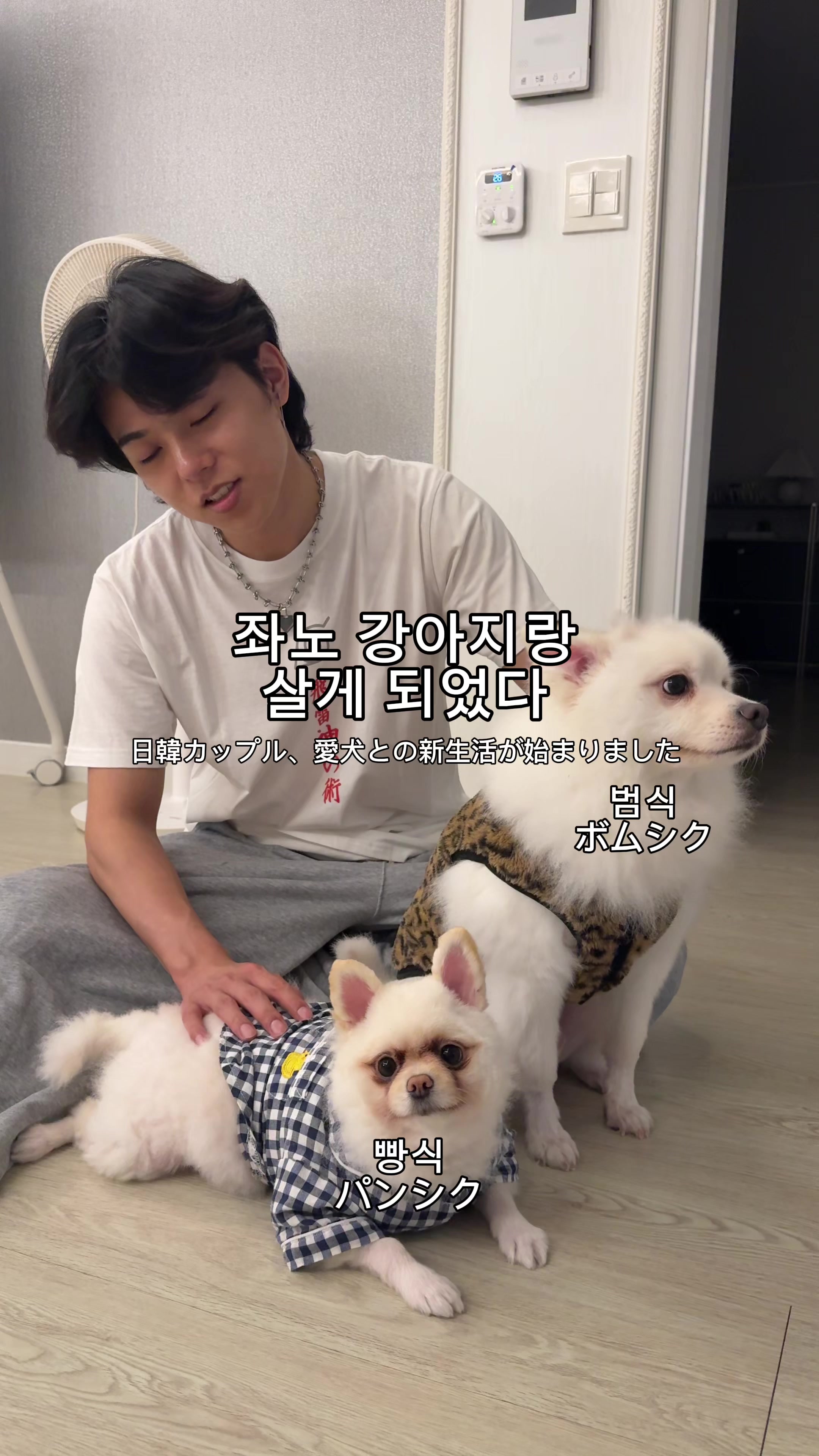 @좌두じゃどぅ