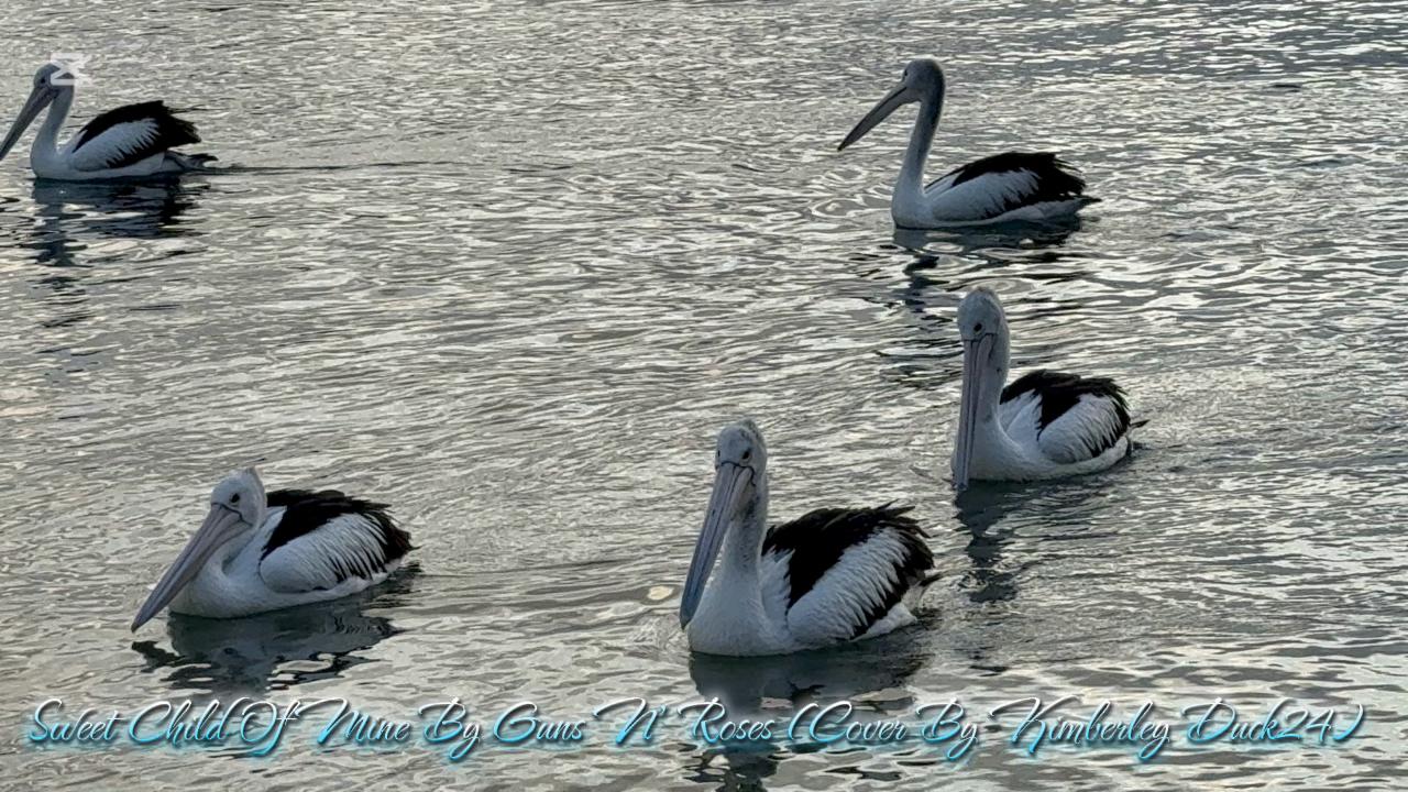 @Kimberley Duck24