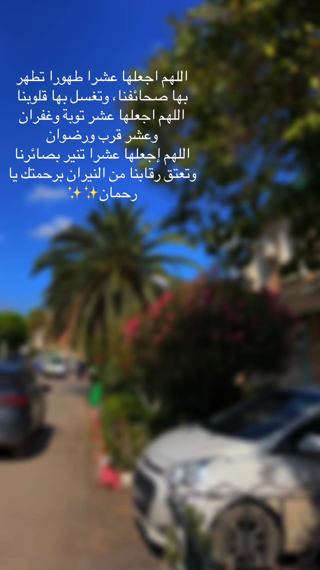 @Kaouther ✨