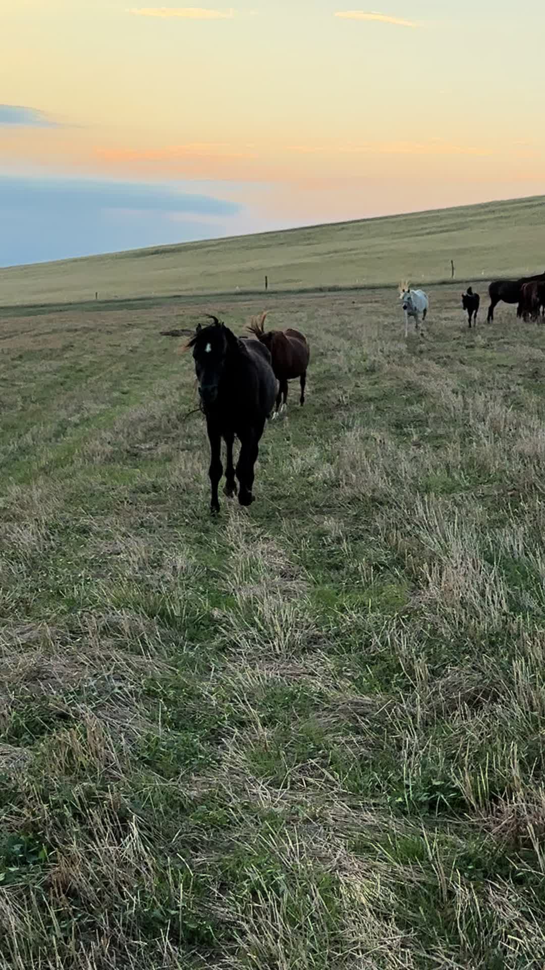 @MakvinStud