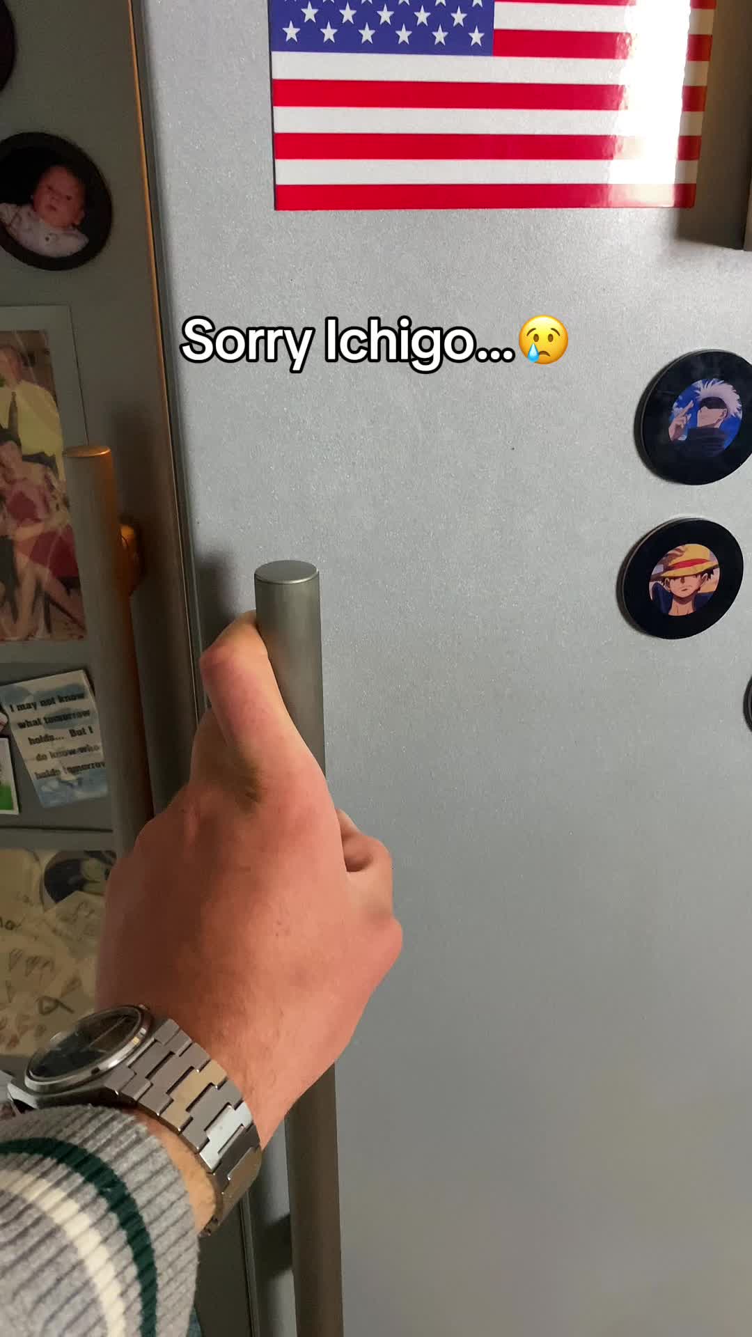 @AniPlay