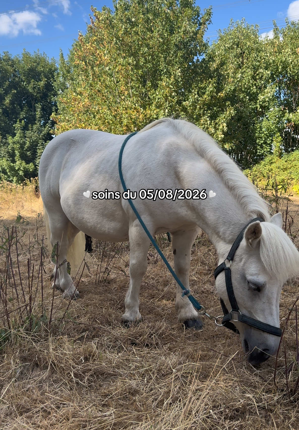 @benjyylepetitponey