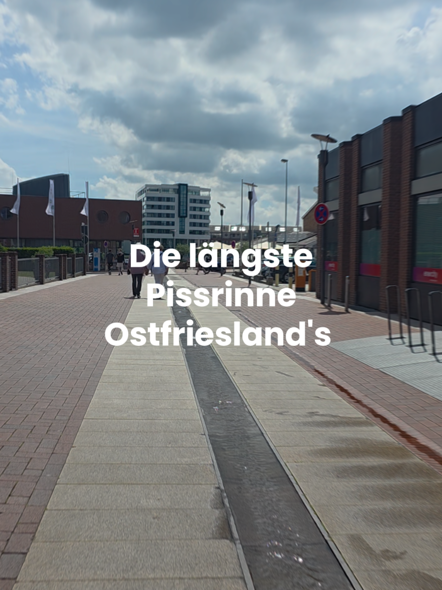 @ᗰOIᑎ🔆ostfriesin_unterwegs
