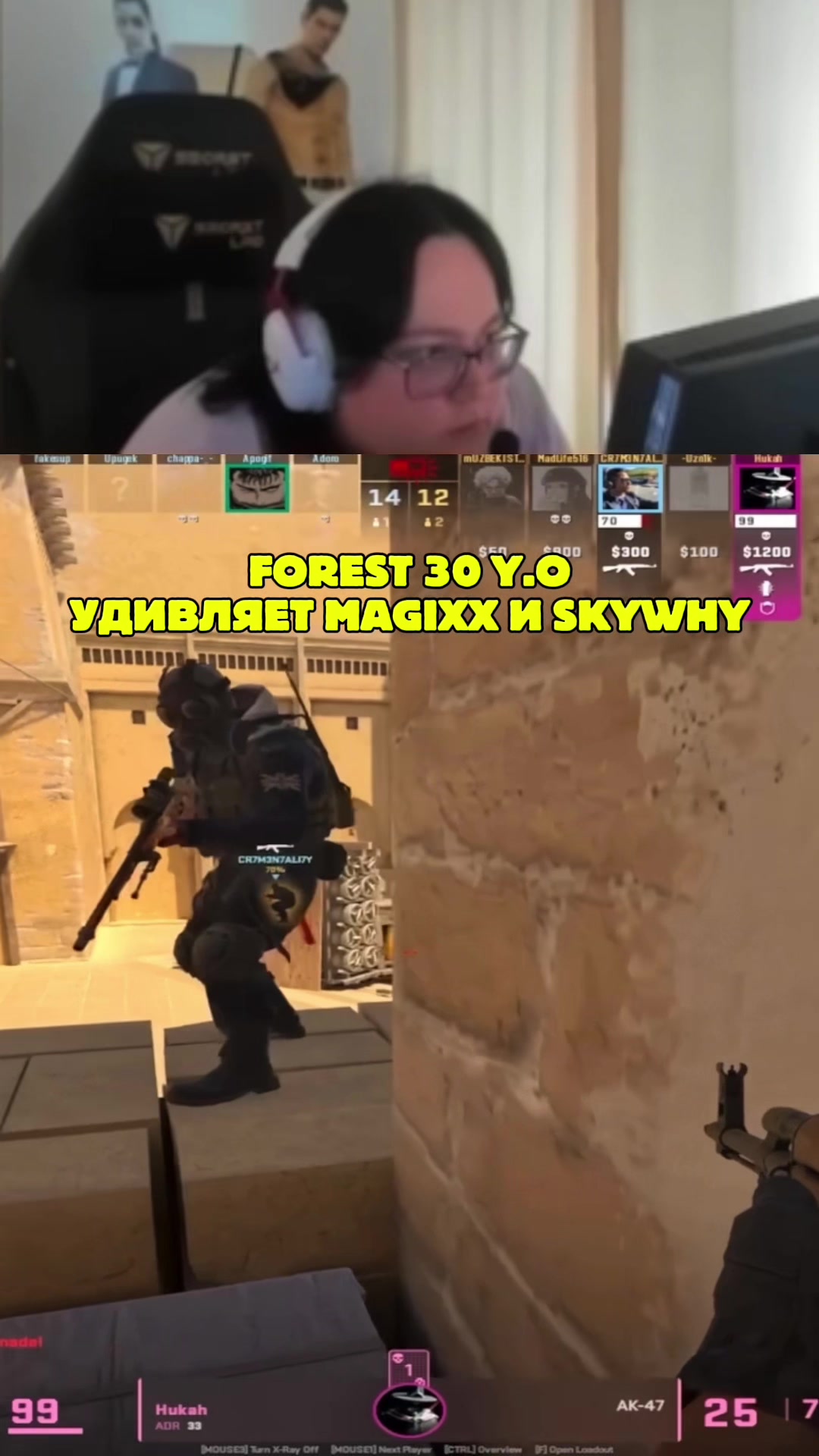 @ЧаХлео Твич