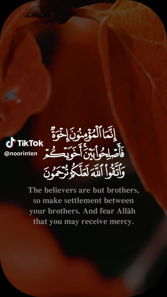 @الاسسسود ابوسند