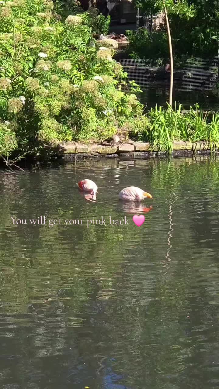 @BreeNa