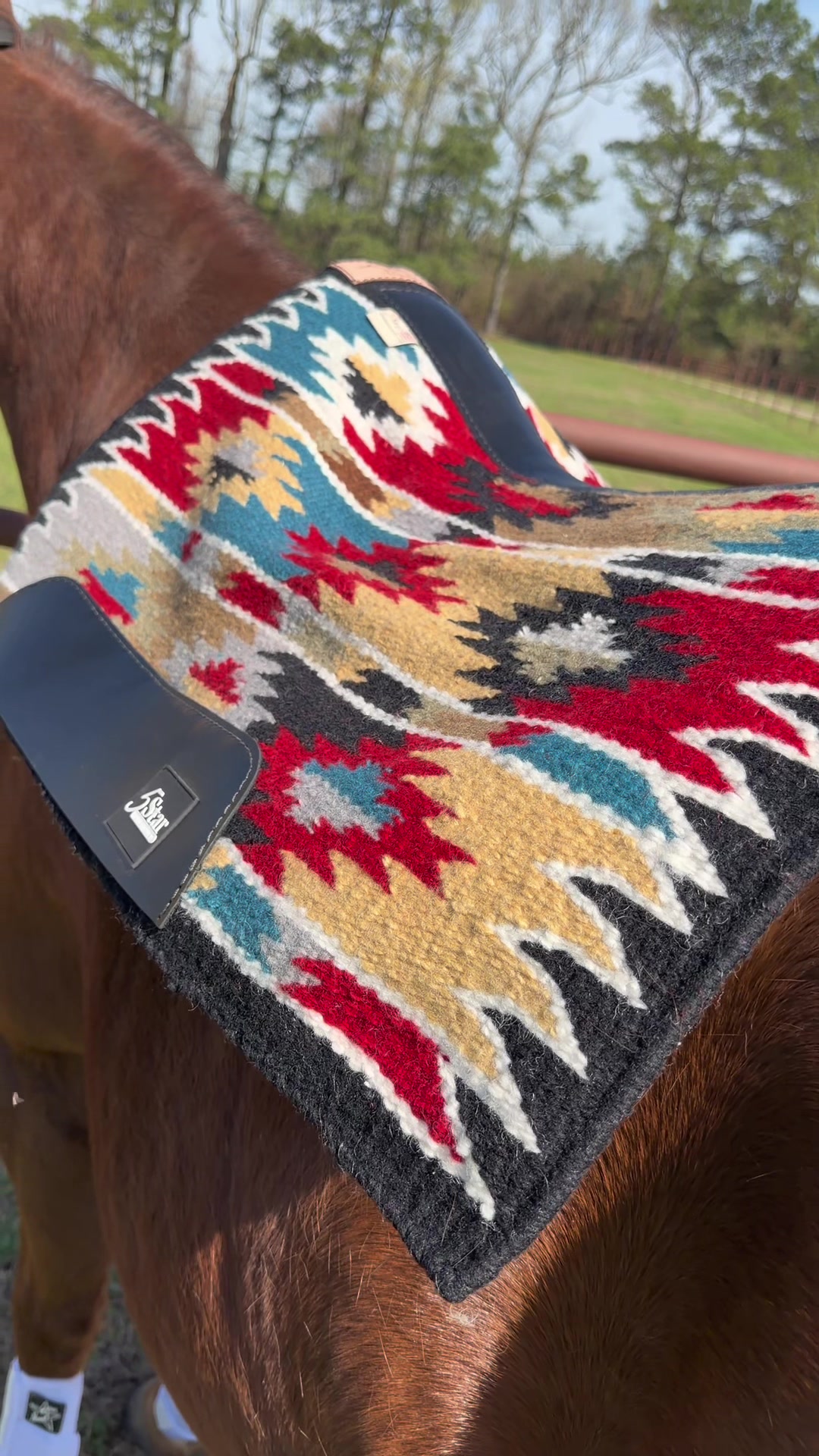 @5 Star Equine