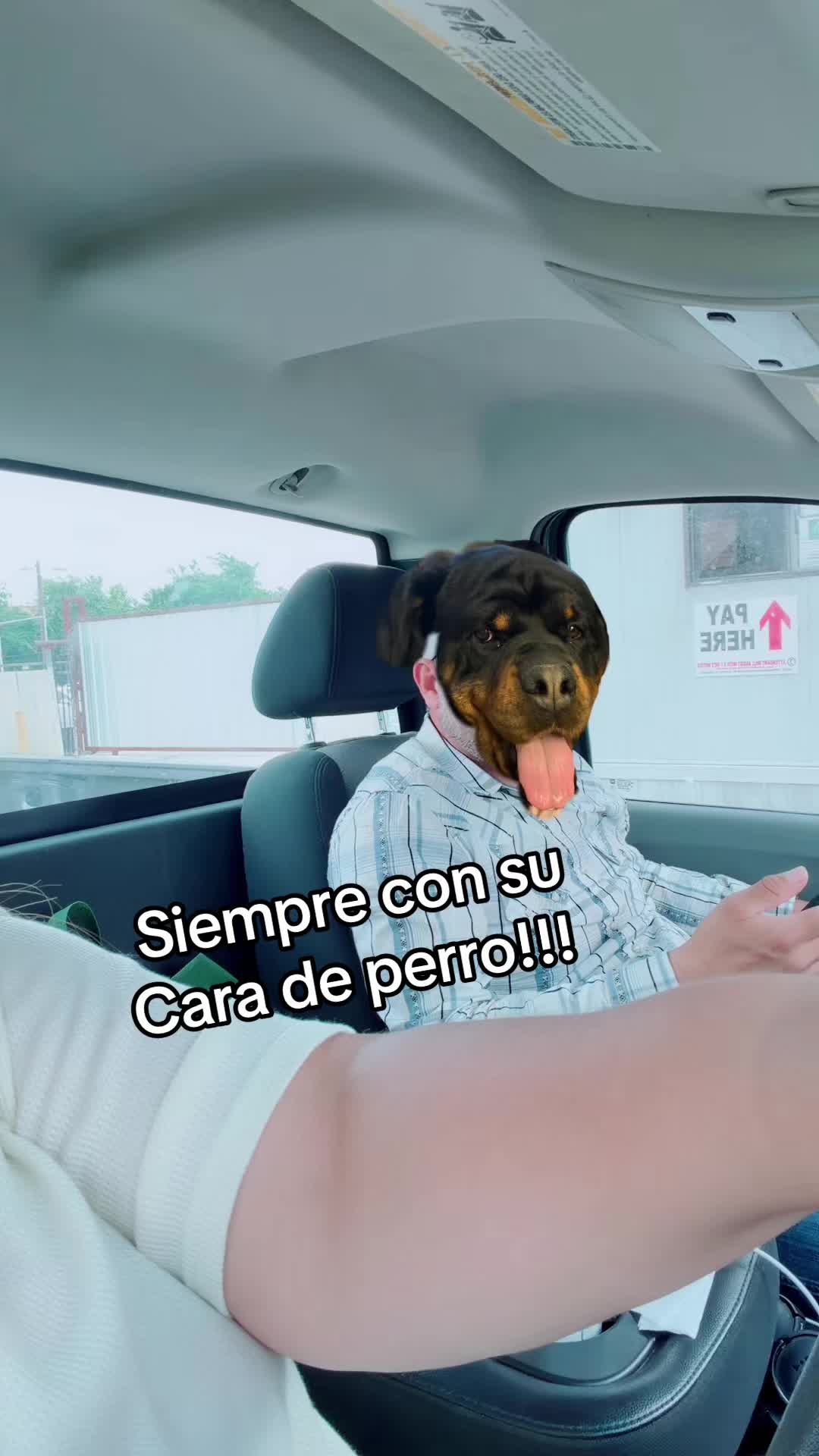 @Van Essa 💋