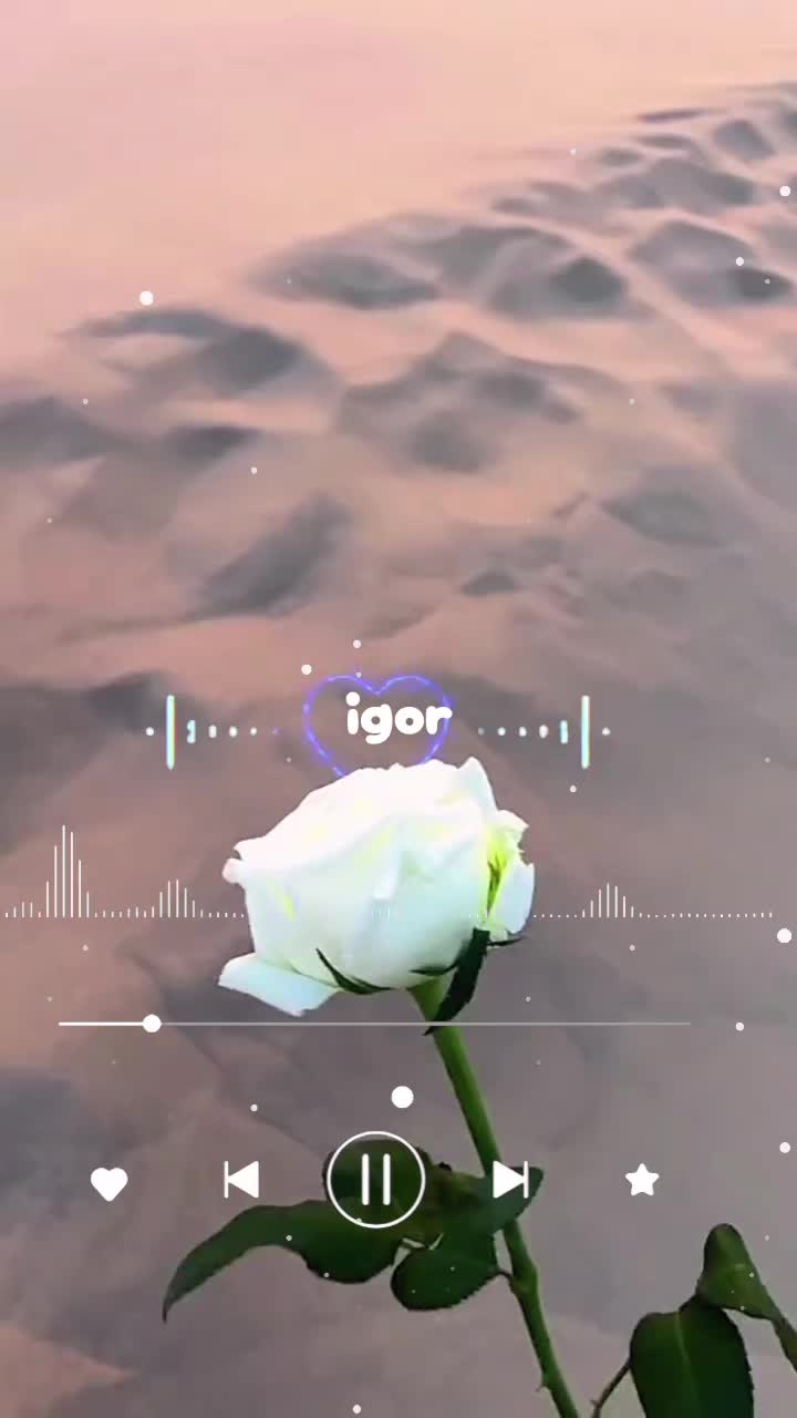 @profetti