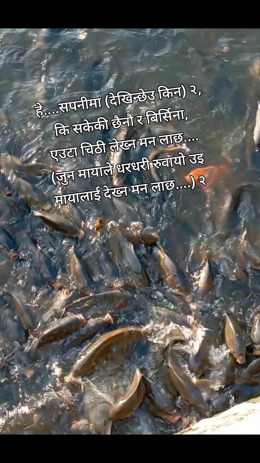 @Hemanta Ritu Acharya