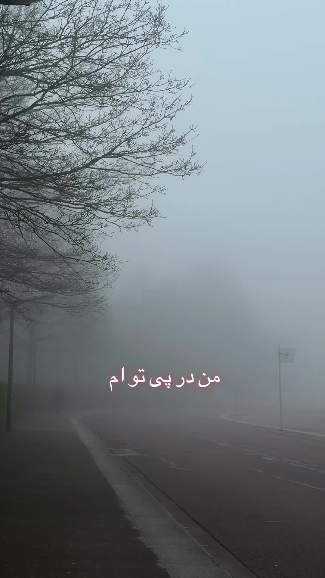 @Hajira Ahmadi