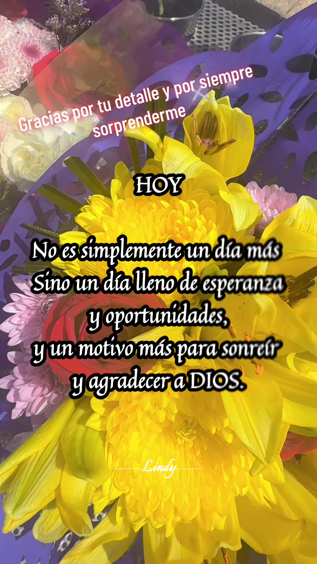 @C@rolin@.S@ndov@l🦋🌸✨