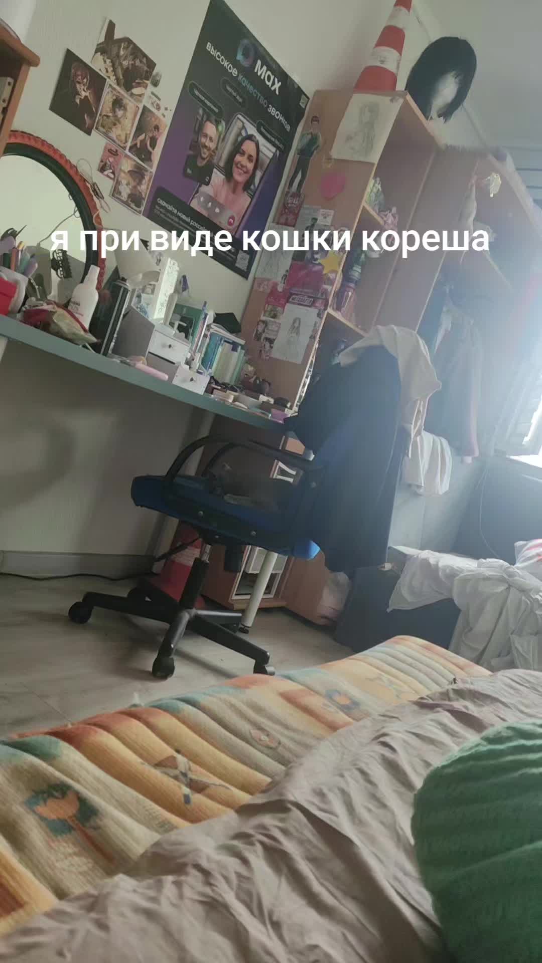 @митсюшка🌀🌀🌀!!