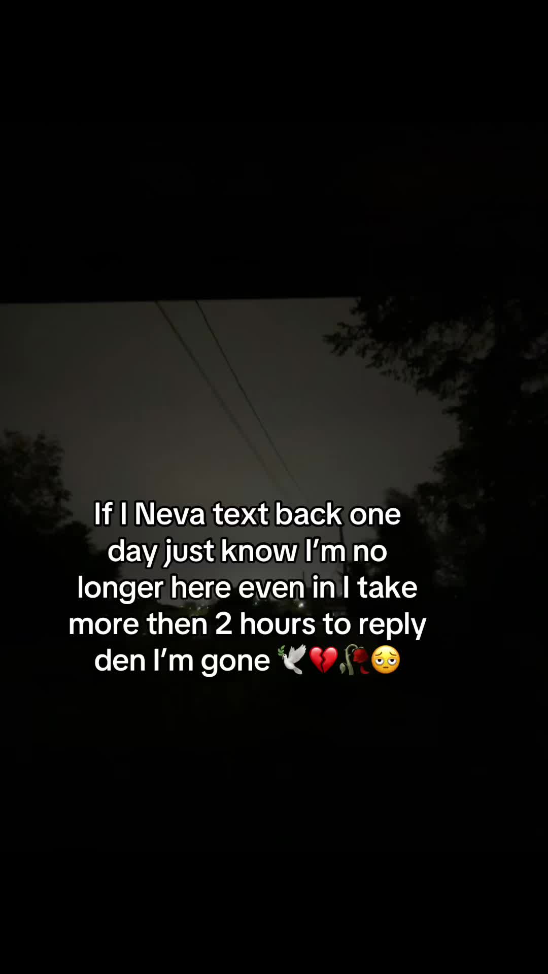 @Theyloveavi💝