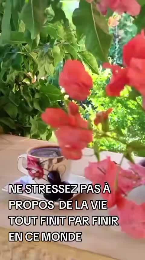 @⚘️Nini marl&egrave;ne🇲🇬