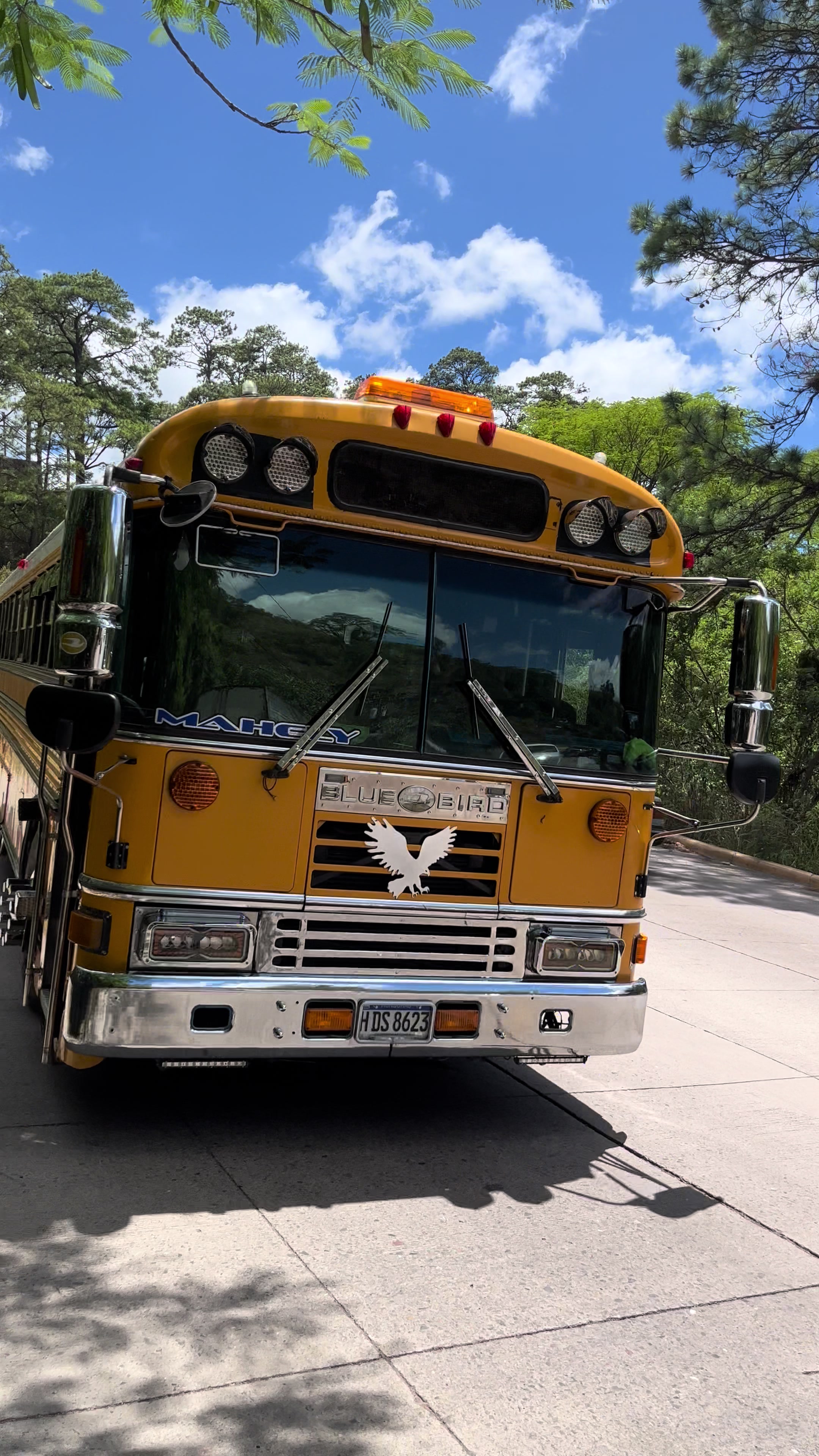 @Buses_hn😎