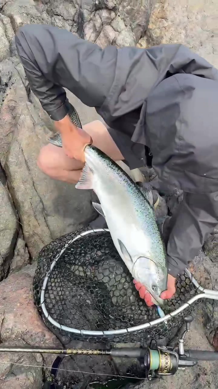 @FishingThe(250)