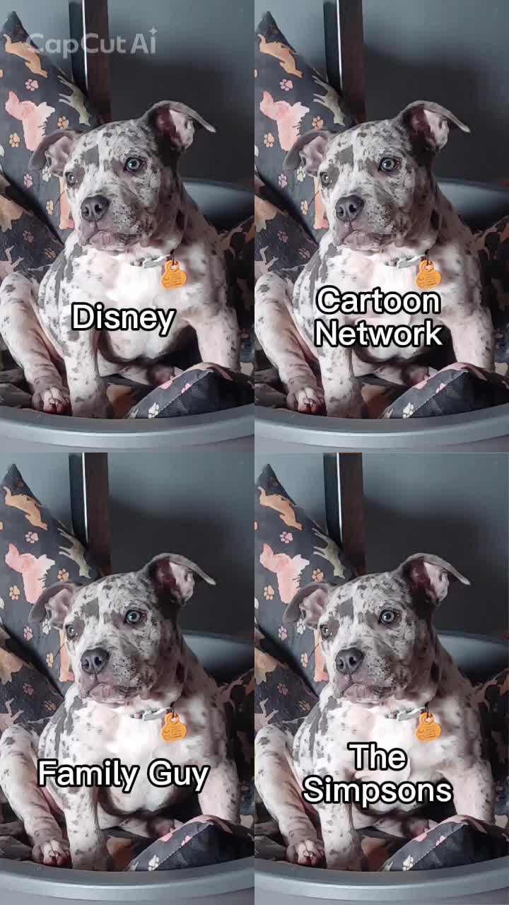 @kjjj