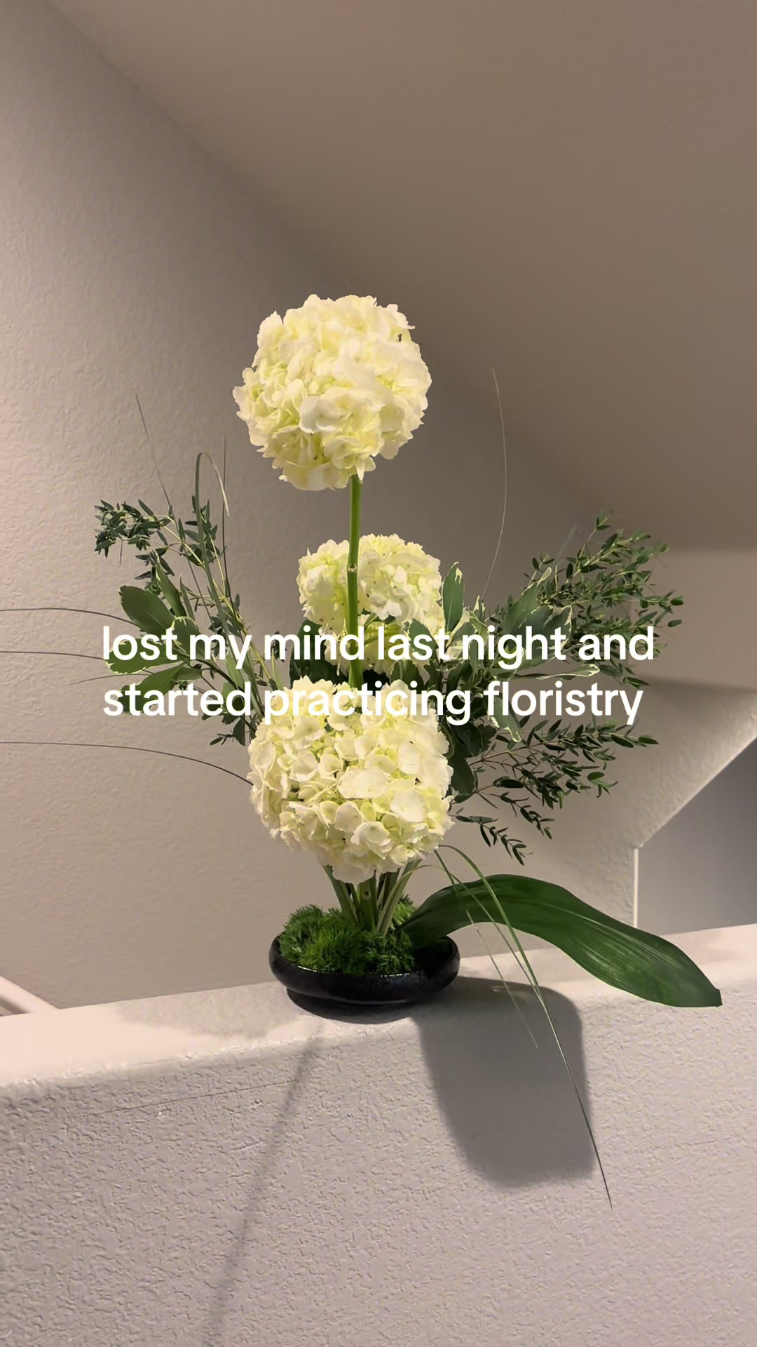 @carli