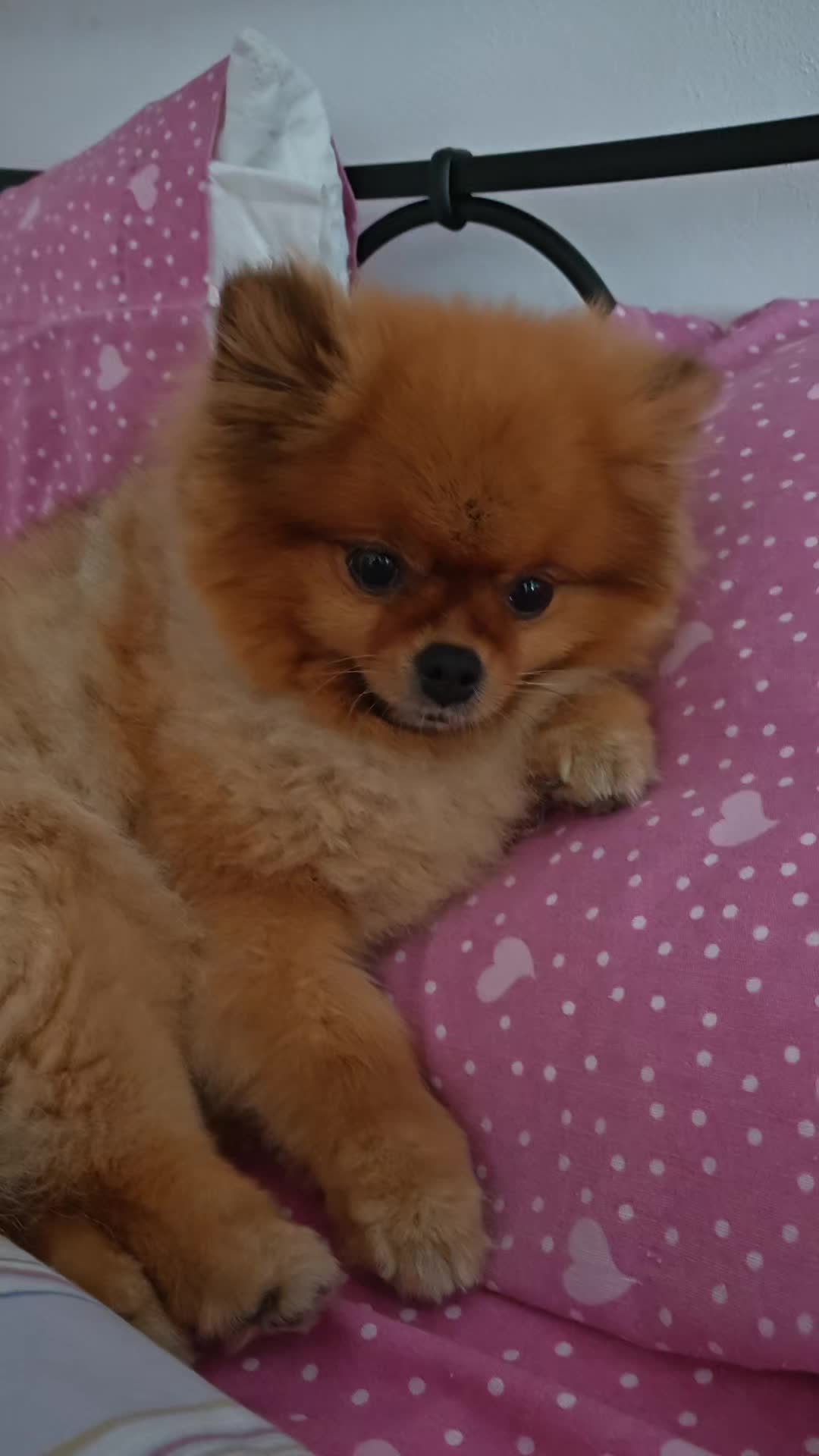 @Nicoletta 🥰