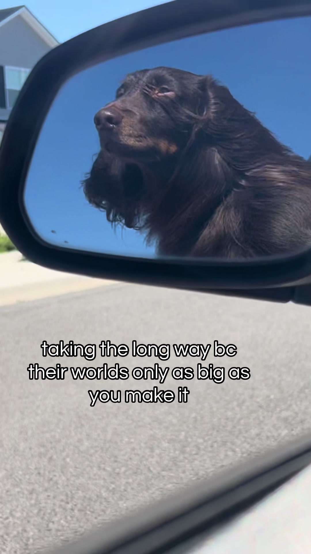 @MagicEight__