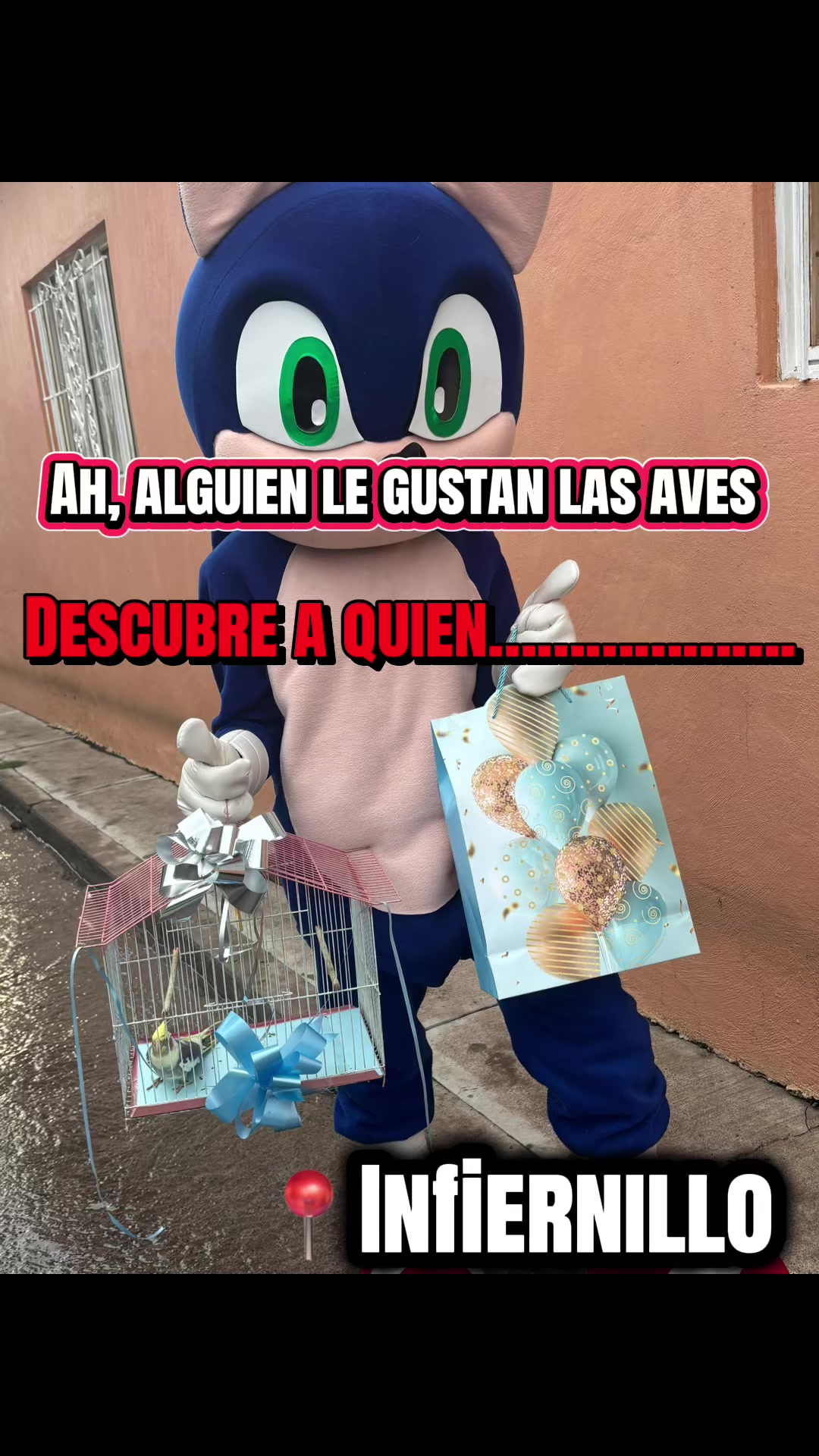 @Cachetitos 🫶