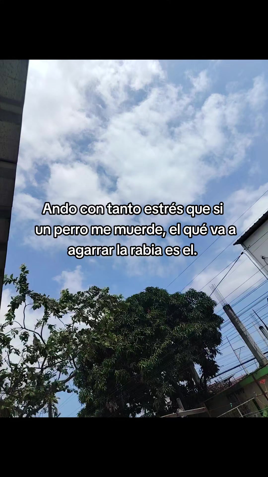 @🌺kary🌺