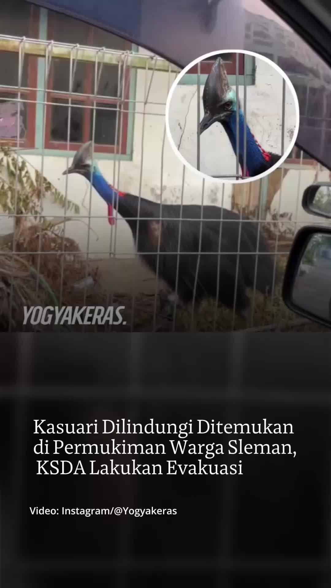 @mongabayindonesia