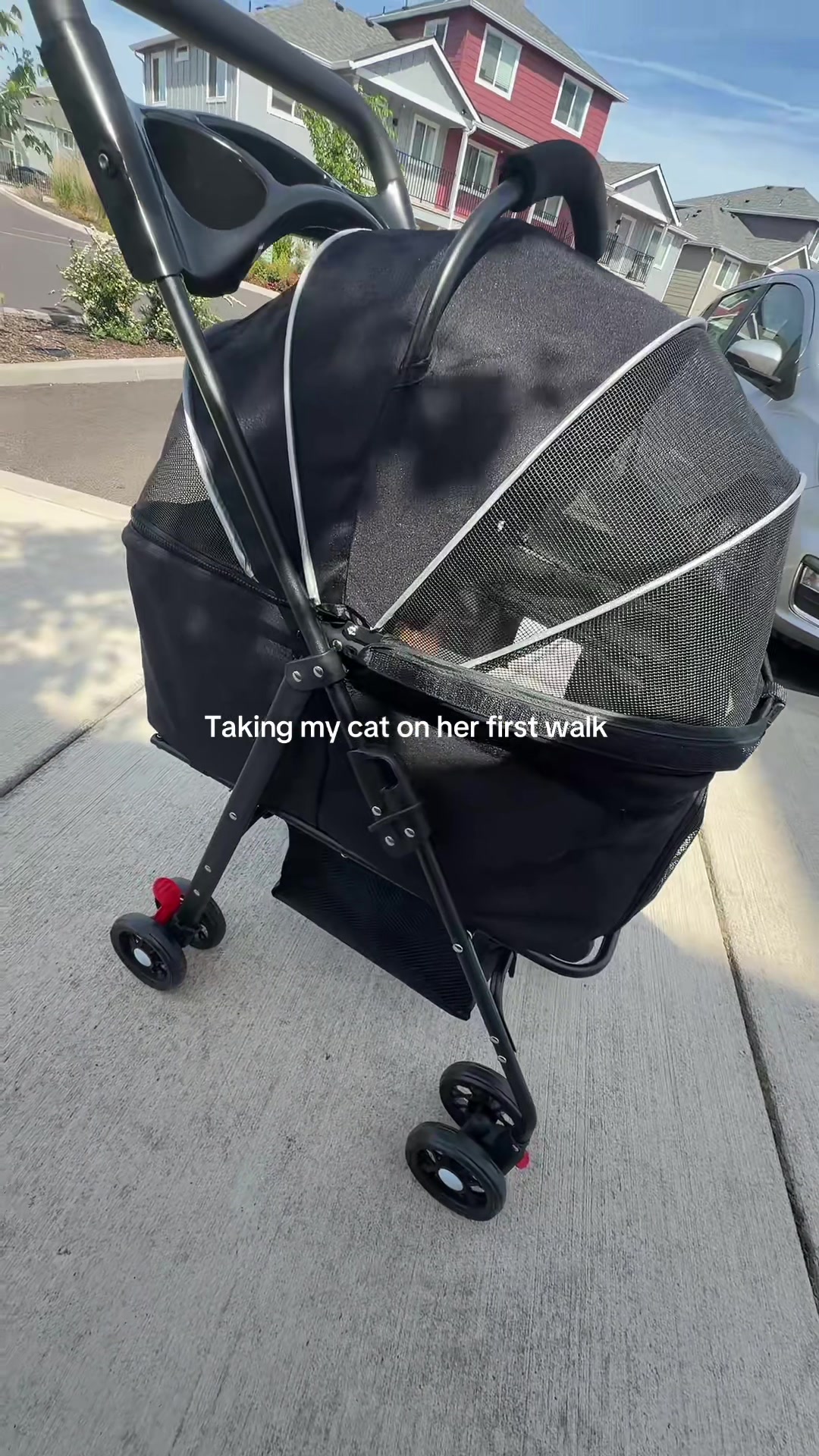 @Jordyn Genevie