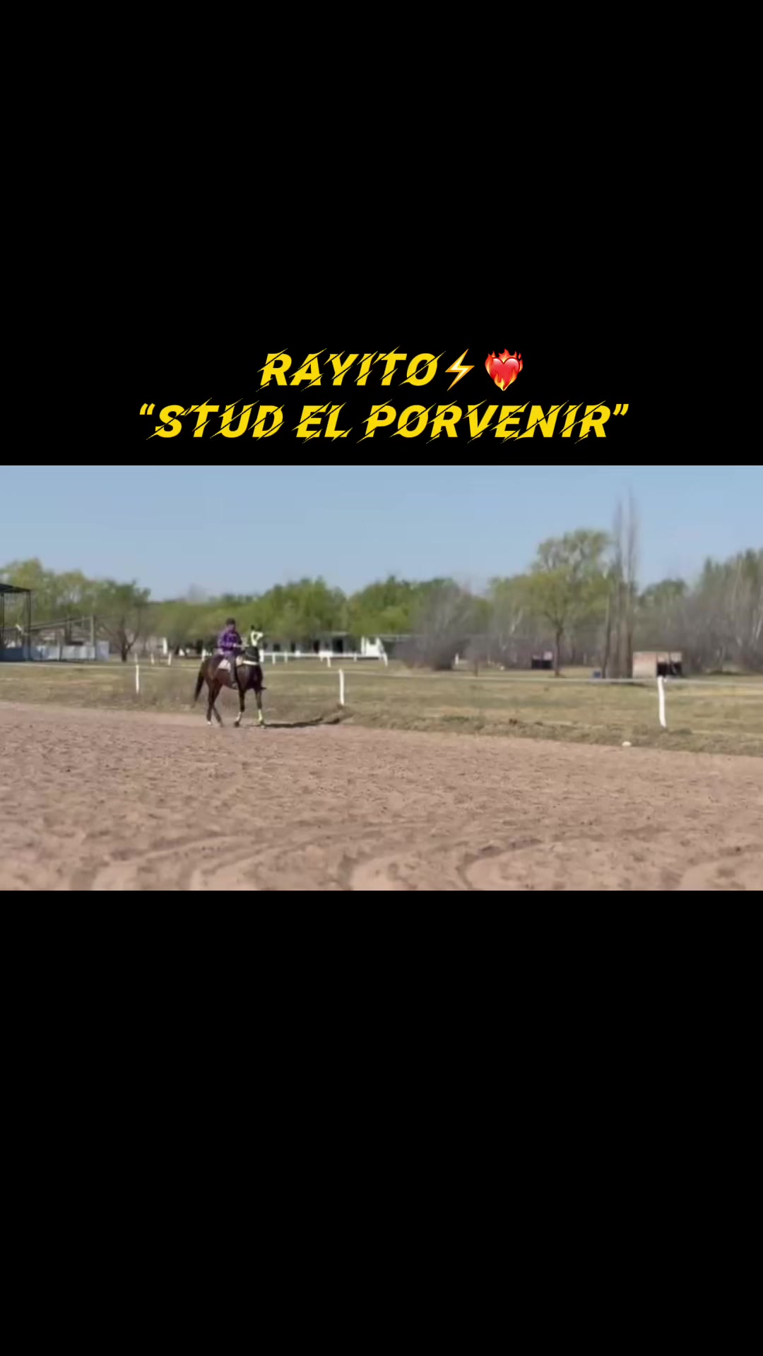 @Sofii Brito🏇🏽