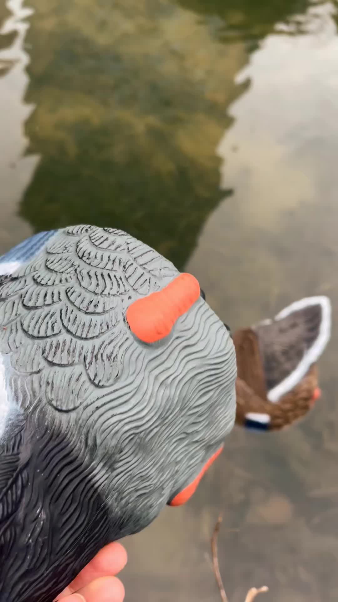 @dddeerhunt