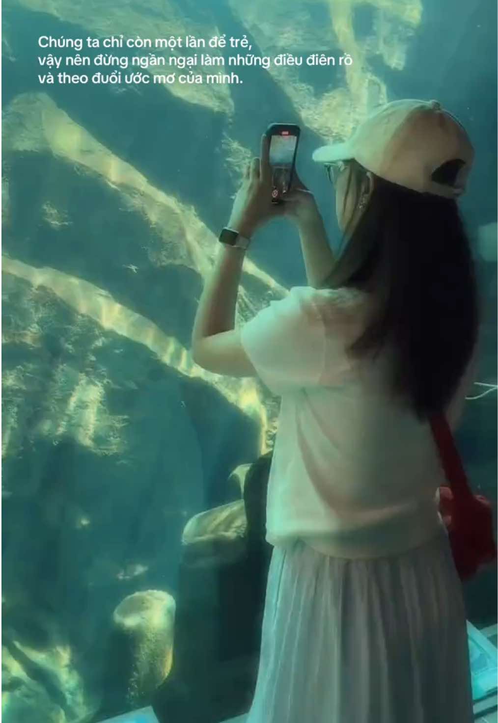 @Trin iu ✿
