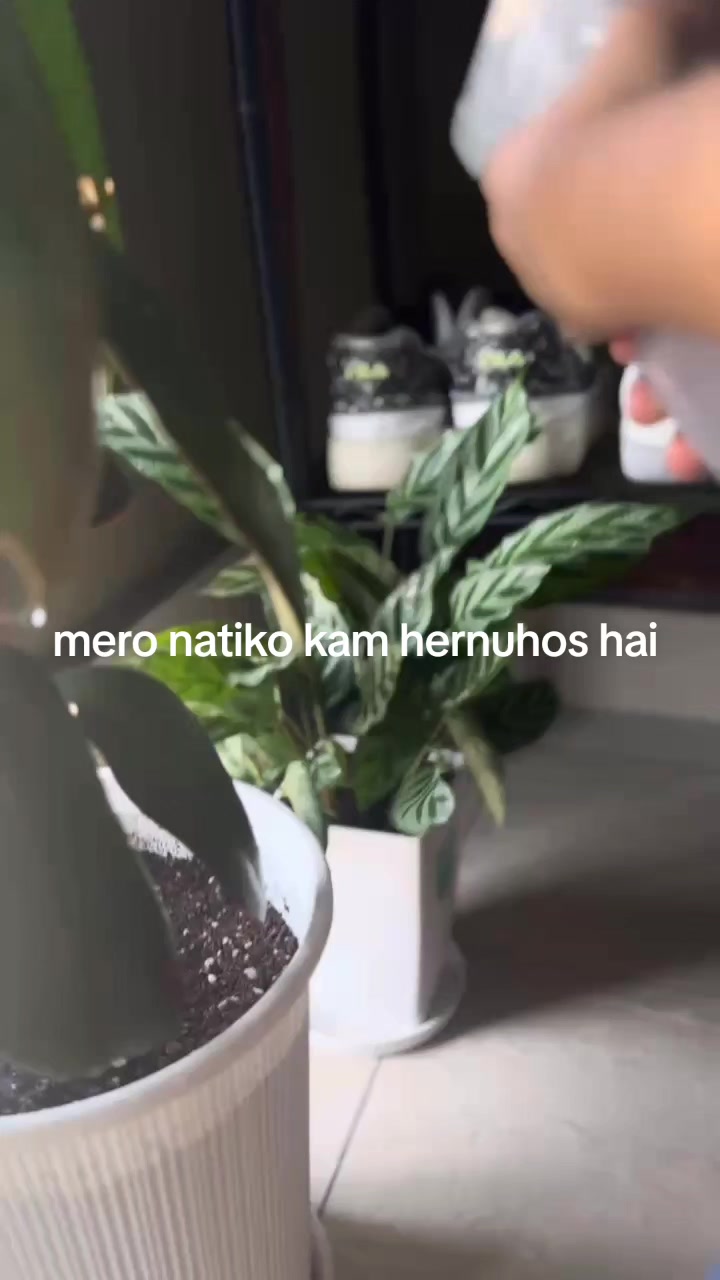 @devirai546dd