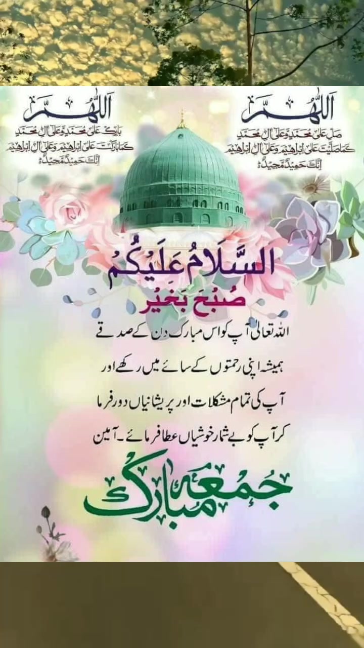 @SalmanSaeed125