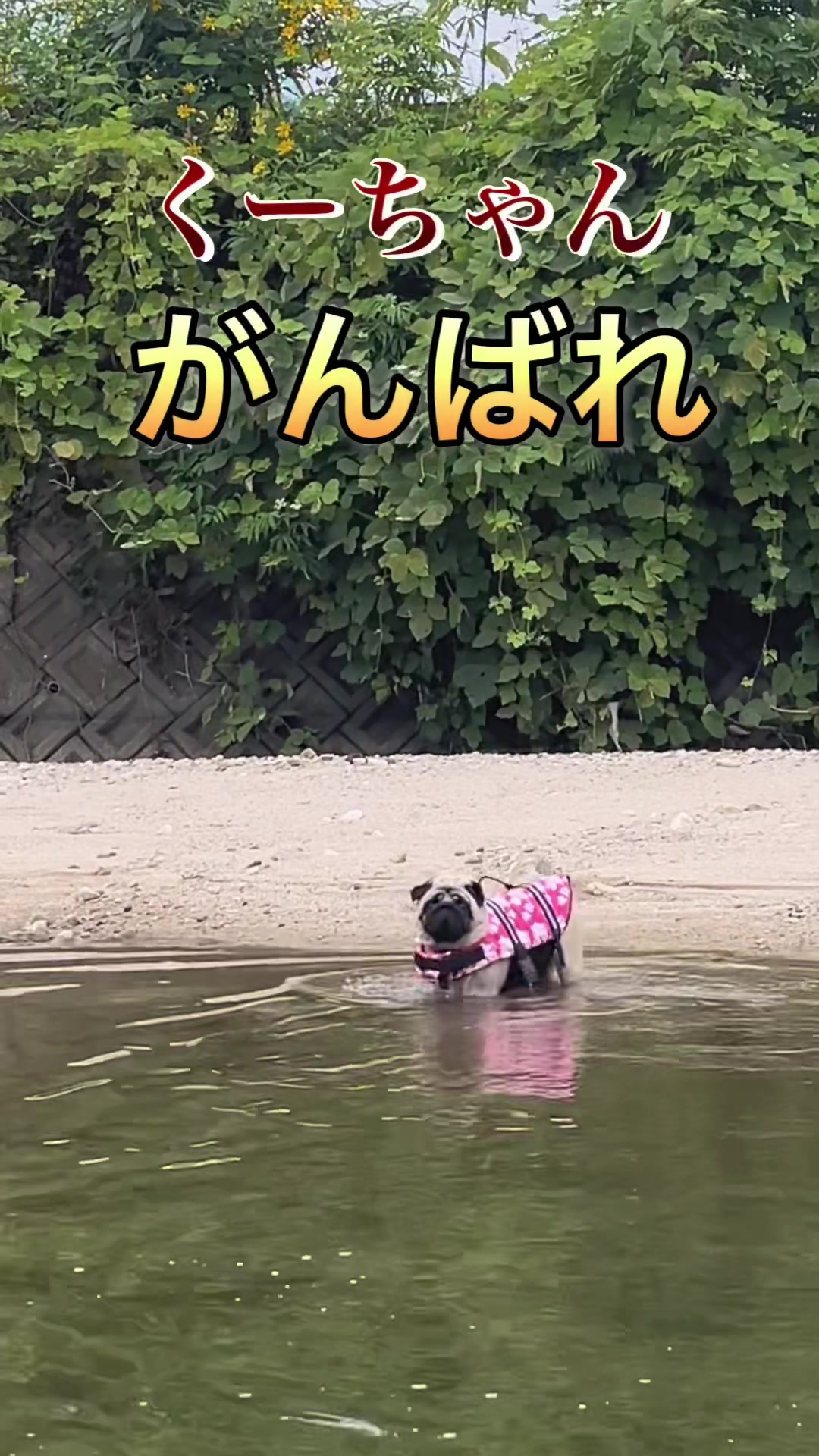 @kksuke