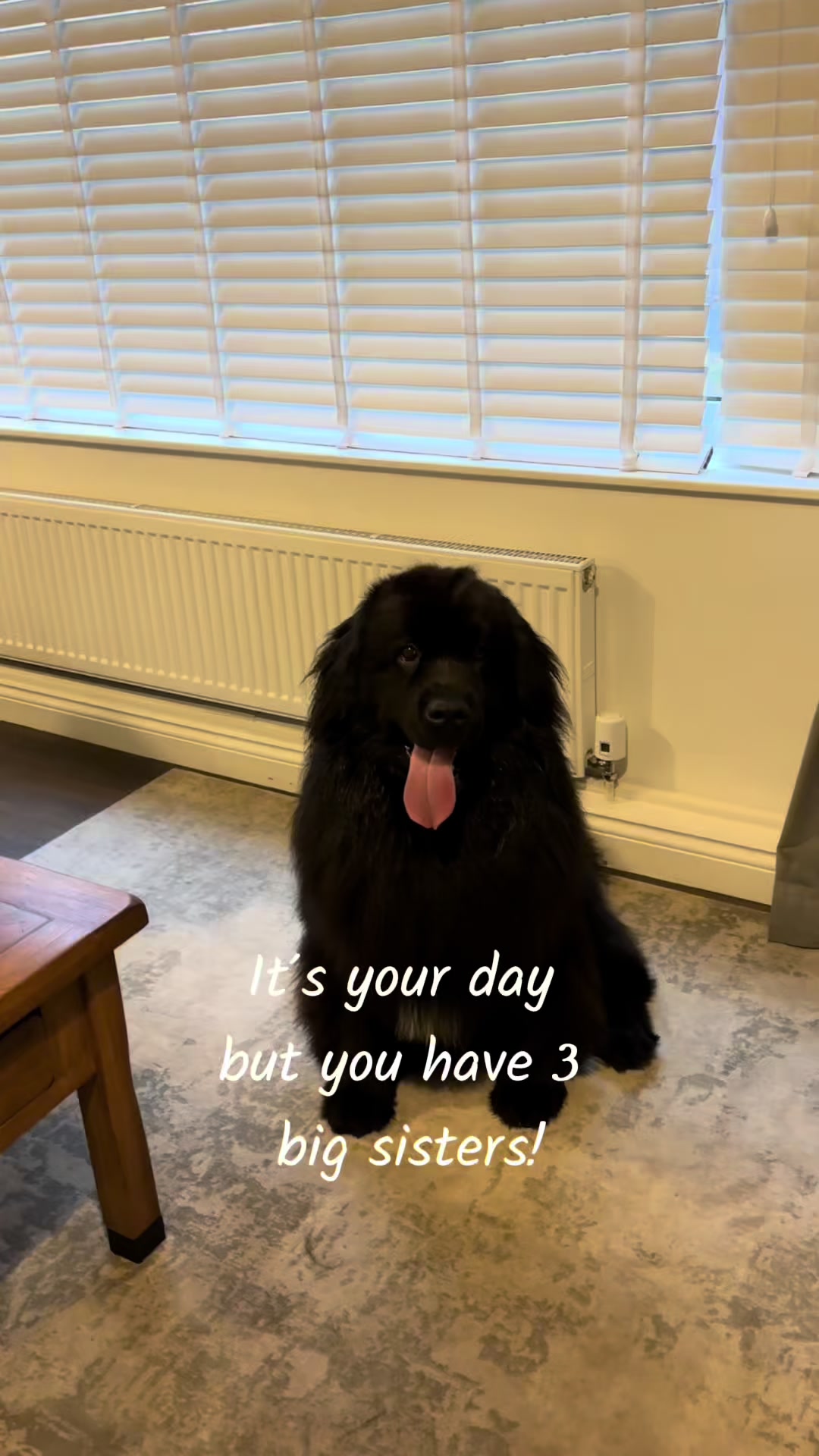 @Newfypups