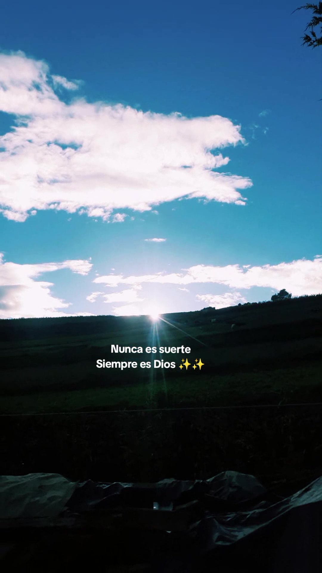 @guadalupe