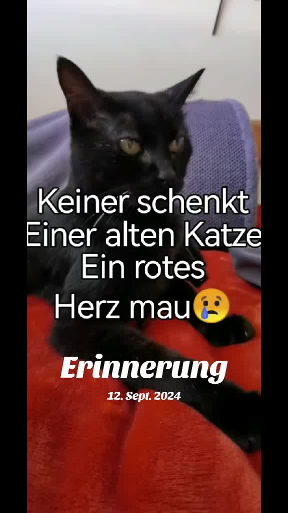 @juli🇩🇪🇺🇸🇷🇺